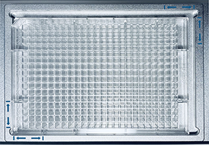 384 well plate adapter